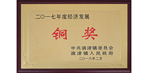 榮獲漓渚鎮(zhèn)2017年度經(jīng)濟發(fā)展銅獎.JPG