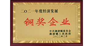2021年榮獲漓渚鎮(zhèn)2021年度經(jīng)濟發(fā)展銅獎.JPG